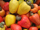 cashew fruits